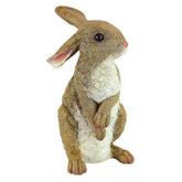 Design Toscano Hopper the Bunny statue front view with full colour finish