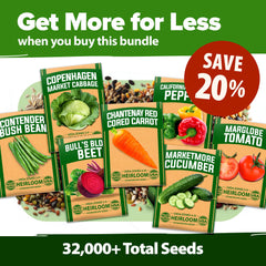 Detailed planting guide included with seed kit