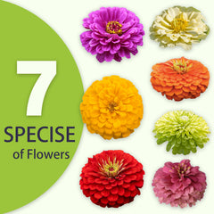 Detailed planting instructions included with the zinnia seeds