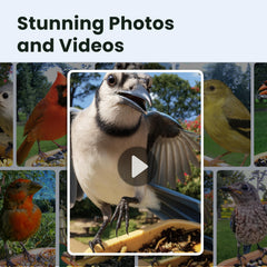 Detailed view of Birdfy feeder camera with night vision feature