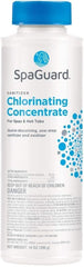 Detailing Connect SpaGuard Chlorinating Concentrate 14 oz front view