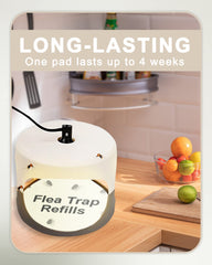 Dichroma flea trap refill disc on a surface