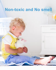 Dichroma Fly Trap Refills next to compatible fly traps