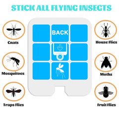 Dickinda glue cards displayed on a flat surface