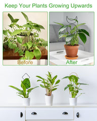Different shapes of Whtawtaw plant trellis set displayed