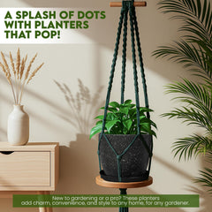 Different sizes of Utopia Home indoor pots for various plants