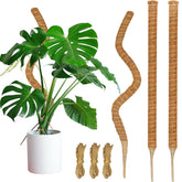 Dimpoo 3 Pack 47'' Moss Pole with jute rope attached