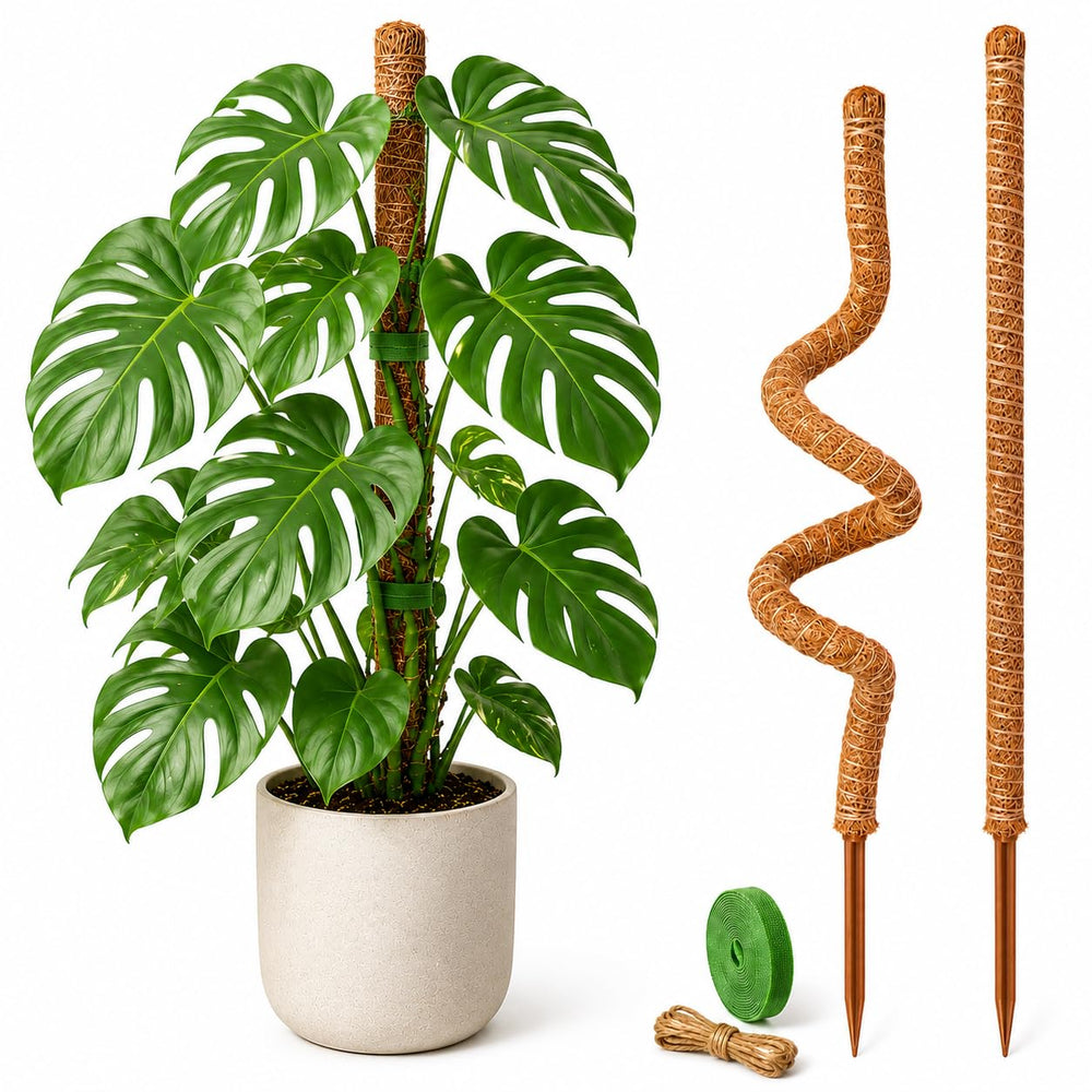 Dimpoo moss pole 28-inch natural coir pole front view