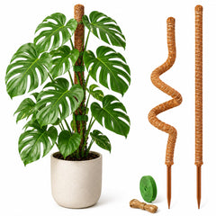 Dimpoo moss pole 28-inch natural coir pole front view
