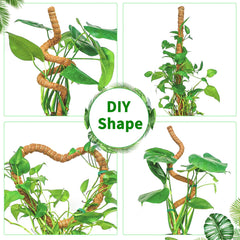 Dimpoo moss pole shaped into an arch with climbing plants
