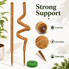 Dimpoo moss pole with jute rope and straps