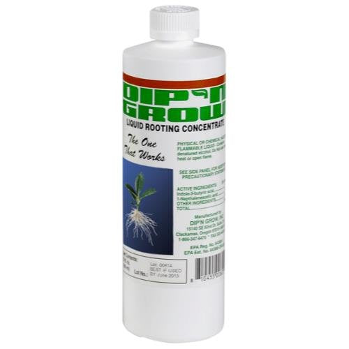 Dip'N Grow DG01601 Rooting Solution 458g liquid concentrate bottle