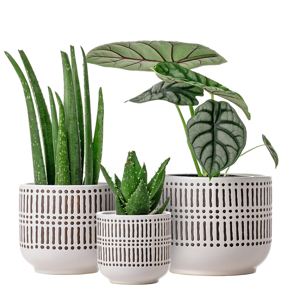 Docrin 3-Pack Ceramic Plant Pots Set, front view with drainage holes