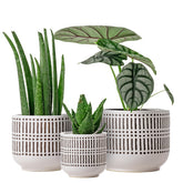 Docrin 3-Pack Ceramic Plant Pots Set, front view with drainage holes