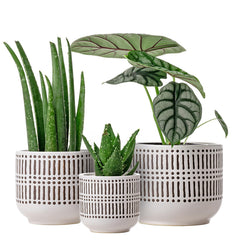 Docrin 3-Pack Ceramic Plant Pots Set, front view with drainage holes