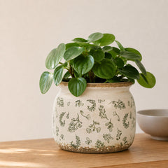 Dosayes Flower Pot showing drainage holes at the bottom