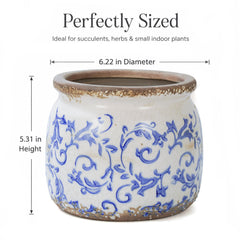 Dosayes Vintage Ceramic Flower Pot placed on a coffee table