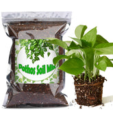 Doter Organic Pothos Soil Mix 1qt black packaging front view