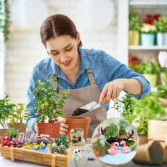 Dracarys fairy garden accessories multicolour figurines on a wooden table