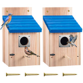 Dreyoo Bluebird House front view with blue roof