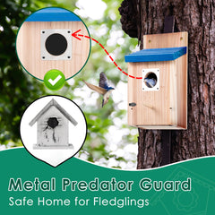 Dreyoo Bluebird House side view showing wood texture