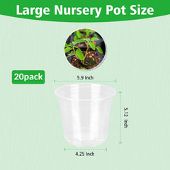 DUNPUTE 6 Inch Clear Nursery Pot showing drainage holes