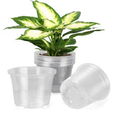 DUNPUTE 8-inch clear nursery pot front view