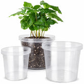 DUNPUTE clear nursery pots 6-inch front view