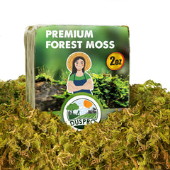 Duspro 2 Oz Dried Forest Moss front view in packaging