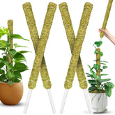 Duspro 22-inch natural moss pole for plant support front view