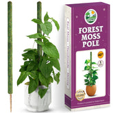 Duspro 42" Moss Pole with Natural Forest Moss Surface