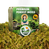 Duspro 5 Oz Real Dried Forest Moss front view with natural texture