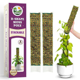 Duspro D-Shaped Moss Pole front view with textured climbing surface
