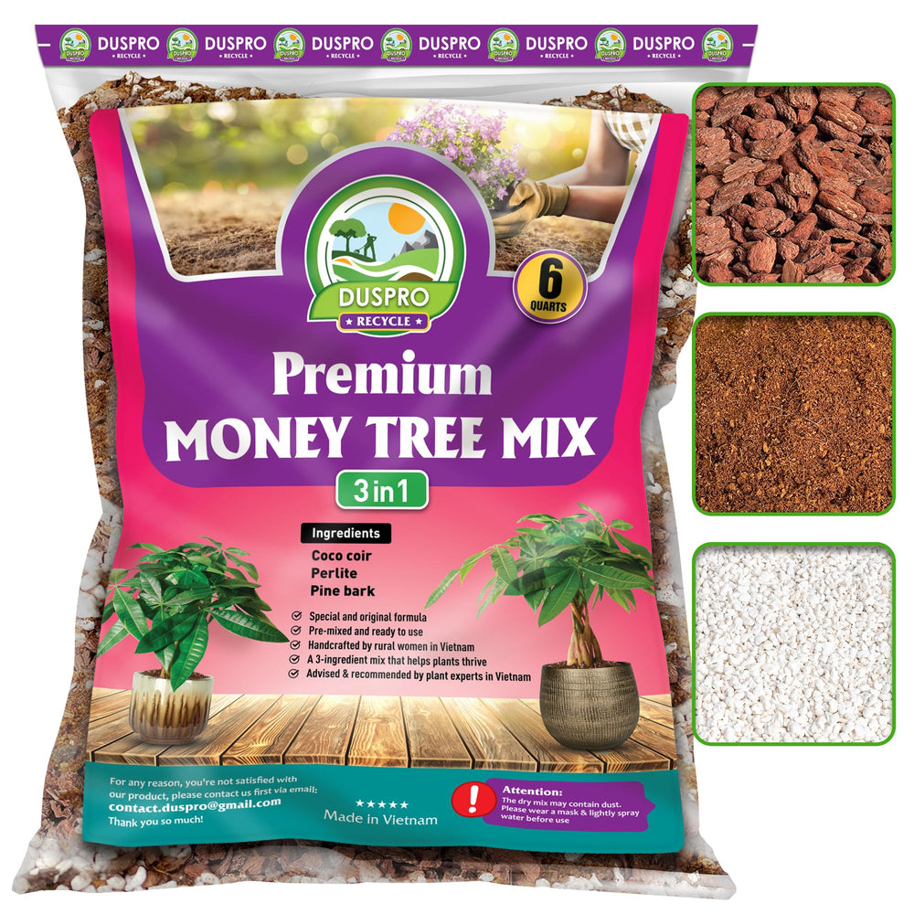 Duspro Money Tree Soil 6 Quarts package front view