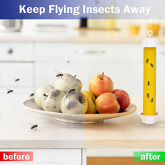 Dwcom Trap Sticky Fly Trap Open-Sided Box Design