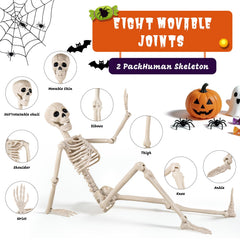 DWTS skeleton hanging from a tree branch