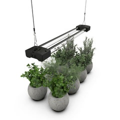 DYMOND Grow Light 2 FT black front view