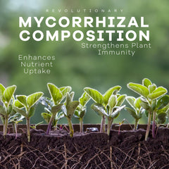 DYNOMYCO Mycorrhizal Fungi Inoculant powder close up