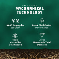 DYNOMYCO mycorrhizal fungi usage in garden
