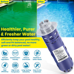 E-cowlboy cartridge installed in a swimming pool system
