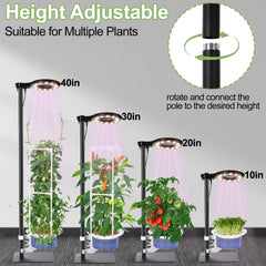E SUPEREGROW Hydroponics System with plants growing on trellis