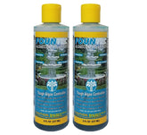 EASYCARE FounTec Algaecide 8 Fl. Oz bottle front view