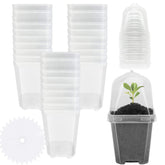 EBaokuup 30PCS clear nursery pots with humidity domes front view