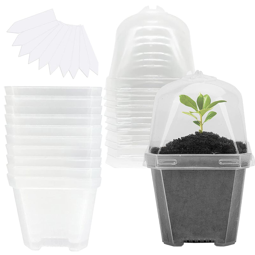 EBaokuup 4" clear plant nursery pot with humidity dome front view