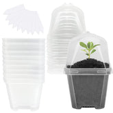 EBaokuup 4" clear plant nursery pot with humidity dome front view