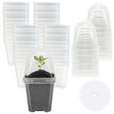 EBaokuup 50 Pcs clear plant nursery pots with humidity domes