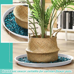 Eccliy plant saucer used as a decorative tray with pebbles