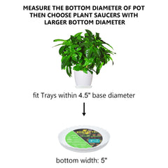 ECOESPTI 5 Inch Plant Saucer with colorful pebbles