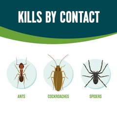 EcoLogic Ant & Roach Killer can side view with label