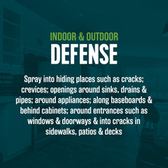 EcoLogic Ant & Roach Killer spray in indoor setting